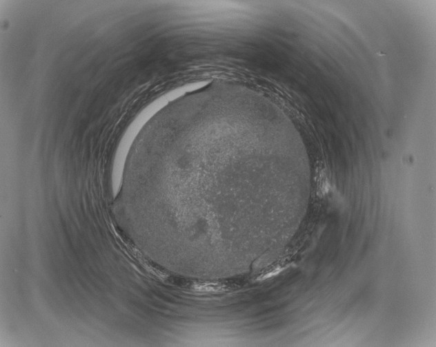 X0000085260753200703161403