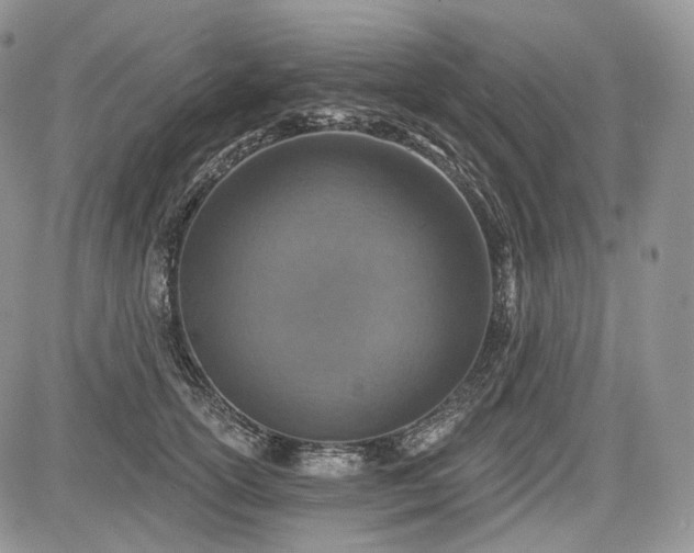 X0000085260754200703161403