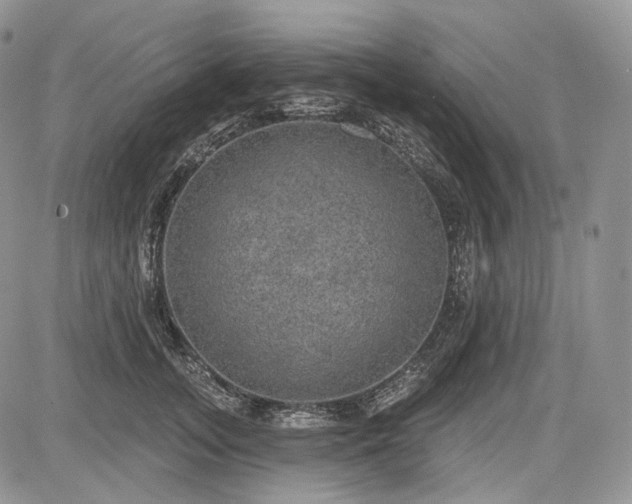 X0000085260755200703161404