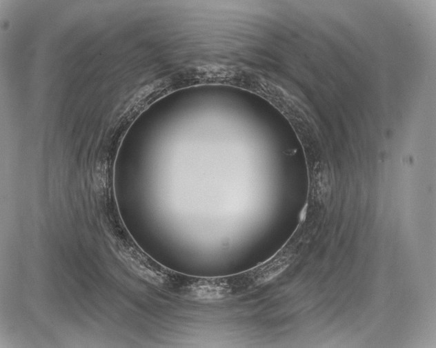 X0000085260756200703161404