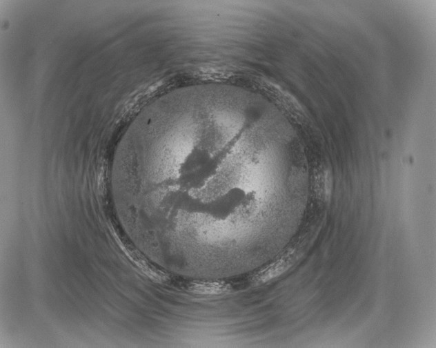 X0000085260757200703161404