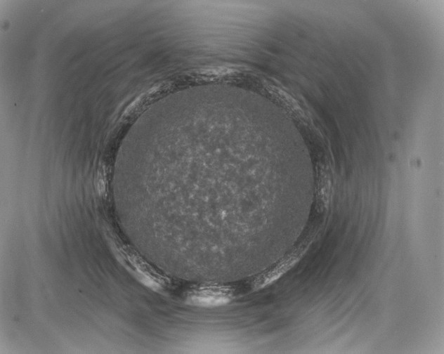 X0000085260758200703161404