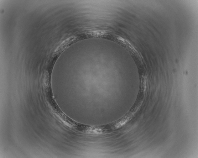 X0000085260760200703161404