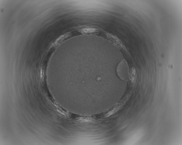 X0000085260763200703161404