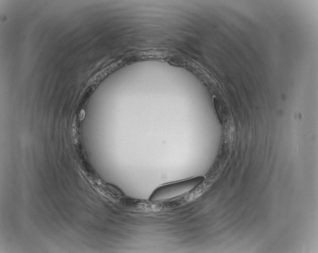 X0000085260764200703161404