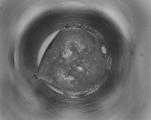 X0000085260765200703161404