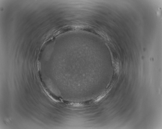 X0000085260766200703161404