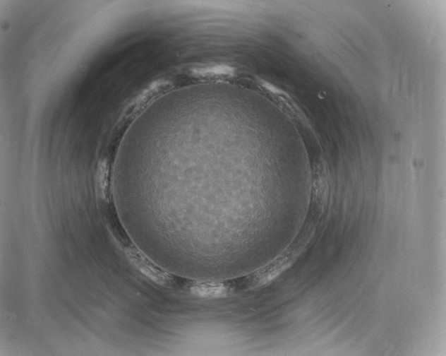 X0000085260767200703161404