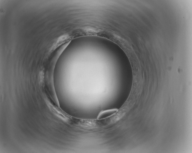 X0000085260768200703161404