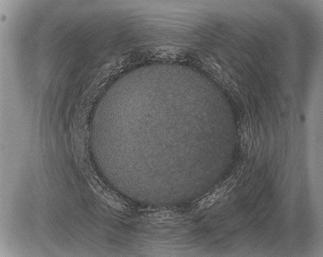 X0000085260769200703161403