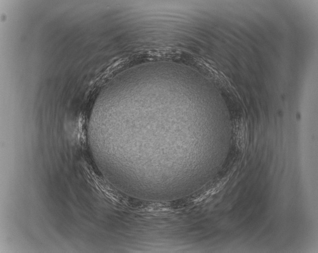 X0000085260770200703161403