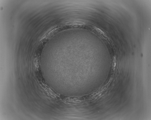 X0000085260774200703161403