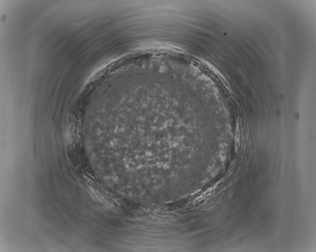 X0000085260775200703161403