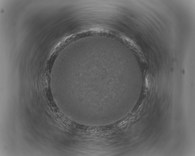 X0000085260776200703161403