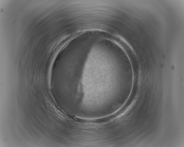 X0000085260777200703161403