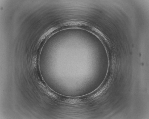 X0000085260778200703161403