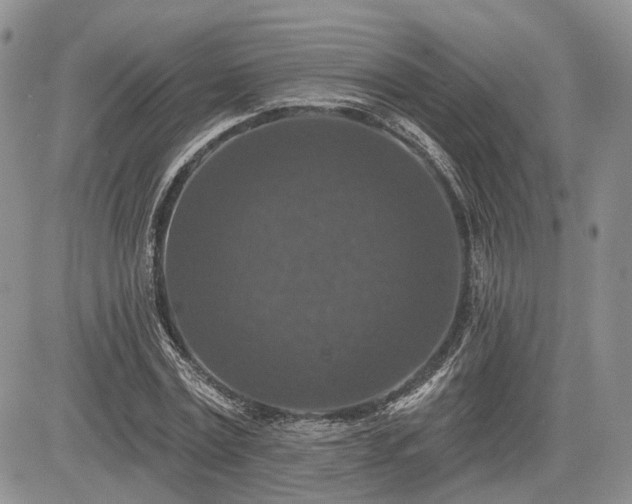 X0000085260779200703161403