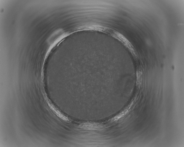 X0000085260780200703161403