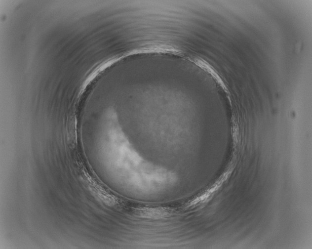 X0000085260781200703161403