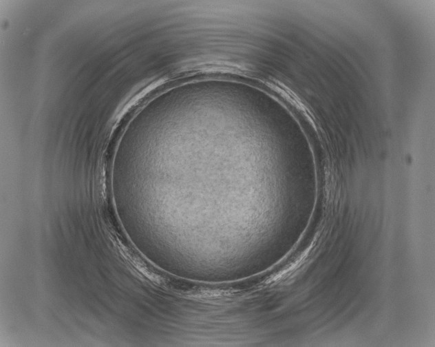 X0000085260782200703161403