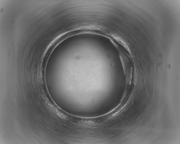 X0000085260784200703161403