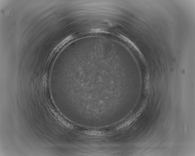 X0000085260785200703161403