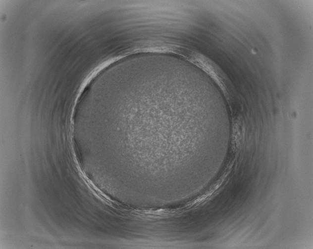 X0000085260787200703161403