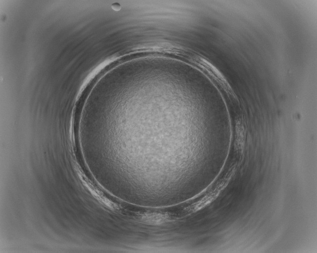 X0000085260788200703161403