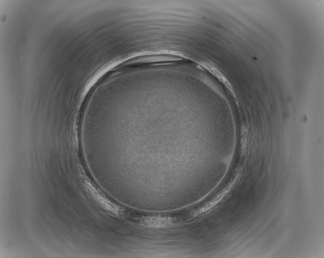 X0000085260789200703161403