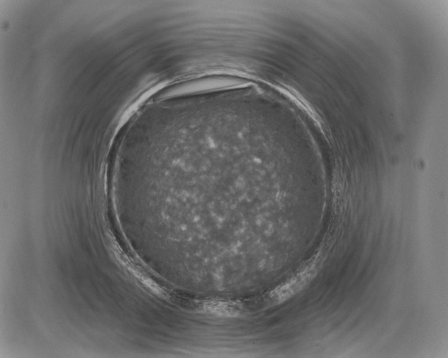 X0000085260790200703161403