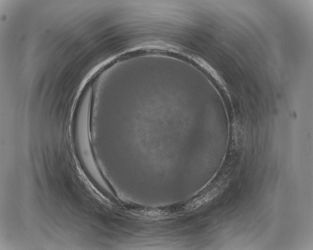 X0000085260791200703161403