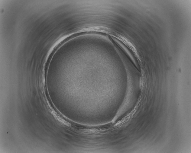 X0000085260792200703161402