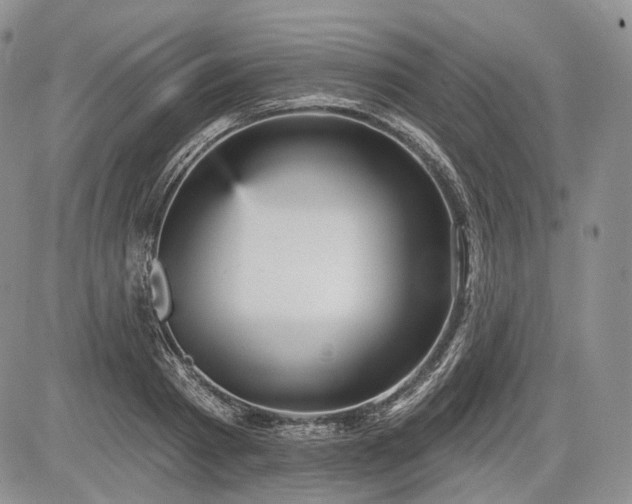 X0000085260793200703161402