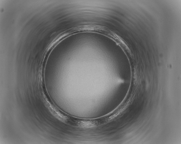 X0000085260794200703161402