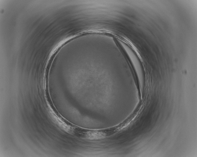 X0000085260795200703161402