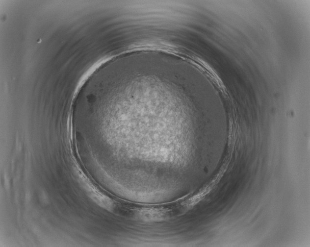 X0000085260796200703161402