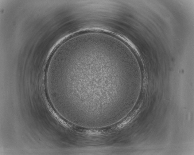 X0000085260799200703161402