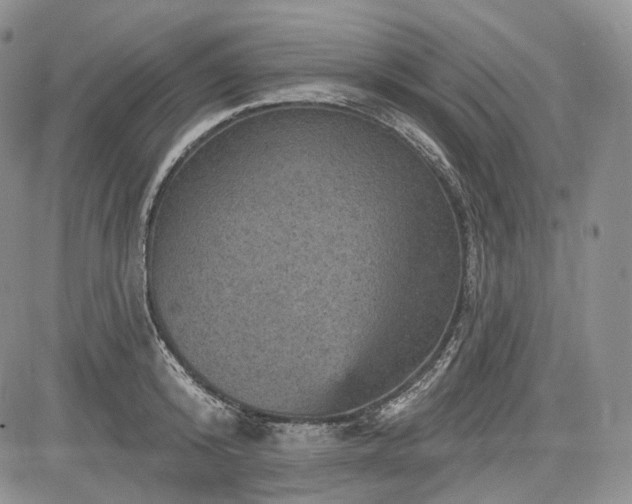 X0000085260800200703161402