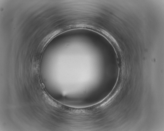 X0000085260801200703161402