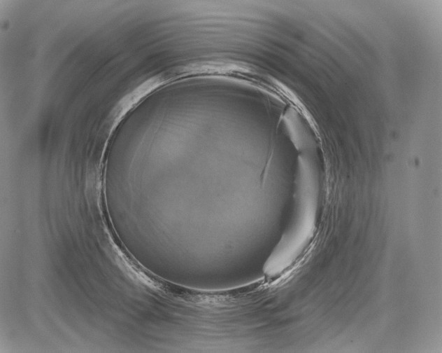 X0000085260802200703161402