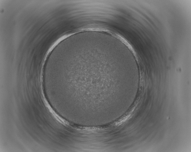 X0000085260803200703161402