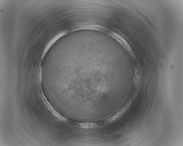 X0000085260804200703161402