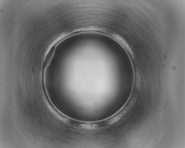 X0000085260805200703161402