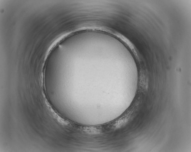 X0000085260807200703161402