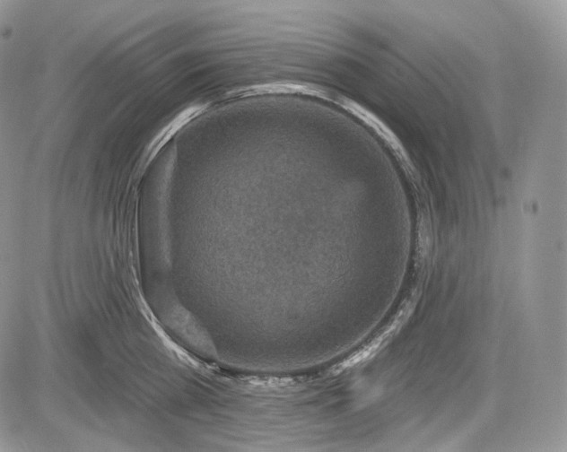 X0000085260809200703161402