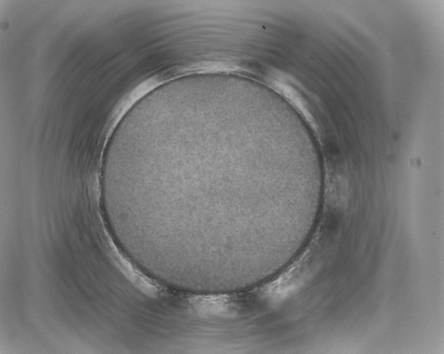 X0000085260810200703161402