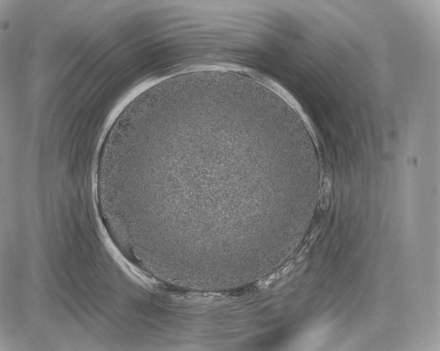 X0000085260811200703161402