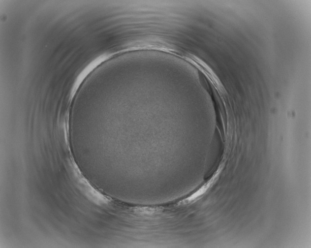 X0000085260812200703161402