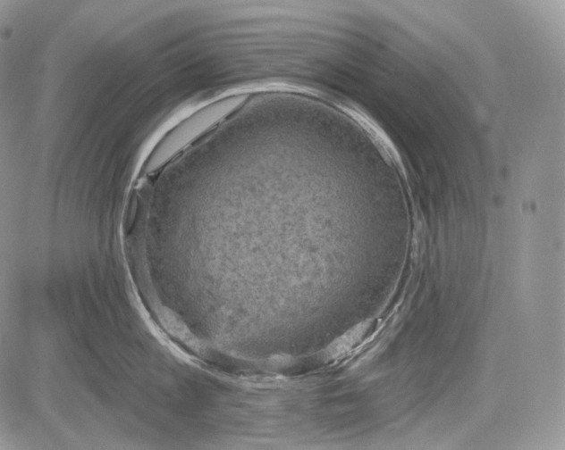 X0000085260813200703161402