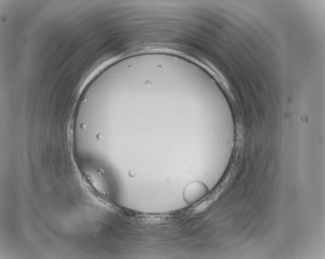 X0000085260814200703161402